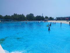 -秦皇岛乐岛海洋王国