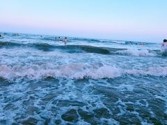 -日照海滨国家森林公园