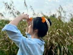 -艾溪湖湿地公园