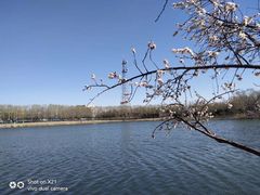 景点-大兴滨河森林公园