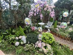 -正佳雨林生态植物园