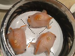 -8餐厅(新葡京酒店)