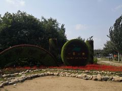 -长白岛森林公园