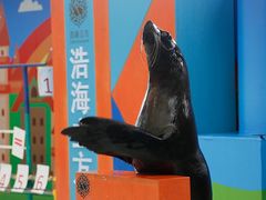 -成都浩海立方海洋公园