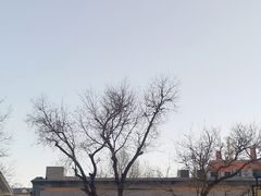 -红花点心局(护国寺店)