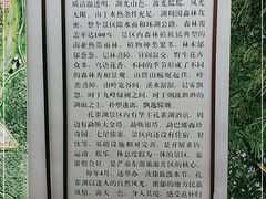 -孔雀湖生态旅游区