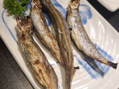 多春鱼-红叶日本料理(开发区店)