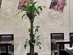 -松子料理(白家庄店)