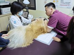 -美联众合动物医院·24h转诊中心