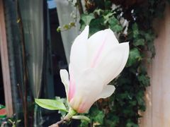 -新竹里馆·花园餐厅(兴苑路店)