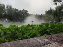 -四川大学(望江校区)
