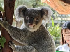 -费瑟代尔野生动物园