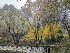 -秦岭终南山世界地质公园翠华山景区