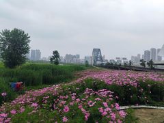 -汉江湾体育公园