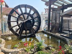-慢丽江·云南野生菌土鸡锅(付家庄店)