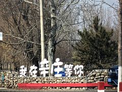 -辛庄国际文化艺术区