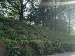 -沈阳植物园