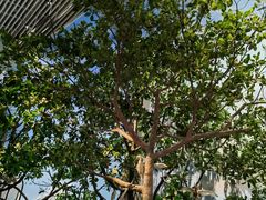 -中国湿地博物馆