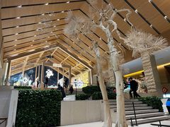 -中旅松花湖滑雪场