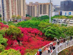 -仙岳公园