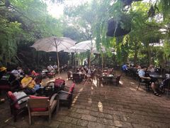 景观位-Fern Forest Cafe