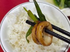 -蛇口康乐快餐鱼仔档(翠苑小区店)