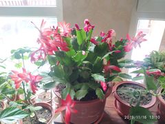 -天津东丽湖风景区