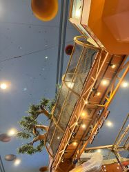 -卡通尼·Safari非洲探索乐园·生日会(金桥国际商业广场店)