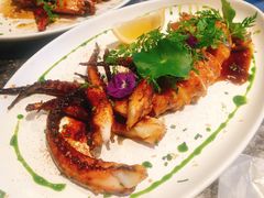 主厨烧汁碳烤鱿鱼-SHADOWS•Bistro&Eatery(安福路店)