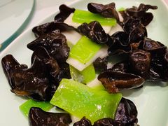 -原鄉本味 楚菜 丹江口鱼(北苑店)