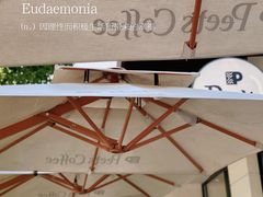 -Peet's Coffee皮爷咖啡(大学路店)