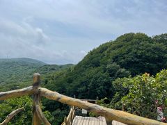 -香炉山国家森林公园