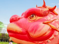 -武汉园博园(武汉自然博物馆)