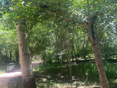 -秦皇岛野生动物园