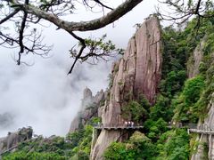 -三清山希尔顿度假酒店