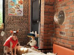 -豆逗聊愈猫阁Easy Life