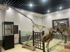 -游龙石文化科普馆