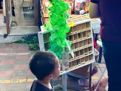 -中环花鸟鱼虫市场