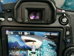 拍照服务-多彩贵州城极地海洋世界