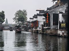 -西塘人家•黑金冠本地好店