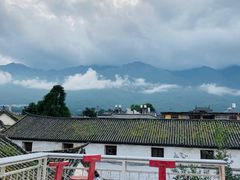 -喵屿·大理花园猫咖