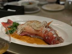 东星斑清蒸-8餐厅(新葡京酒店)