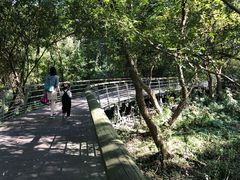 -西湖风景区-江洋畈生态公园