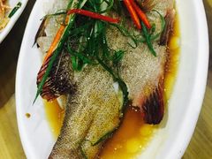 东星斑-四川小胡子海鲜(丁村万人海鲜广场店)