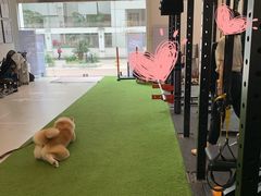 -YCHL Studios健身工作室(市二宫店)