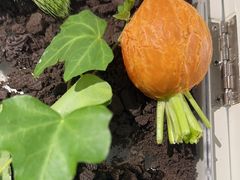 -3号仓库·创意中国菜(嘉兴龙鼎万达店)