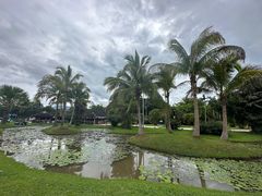 -中国科学院西双版纳热带植物园