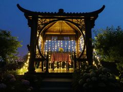 -樂桃源奉贤黄桃种植采摘基地