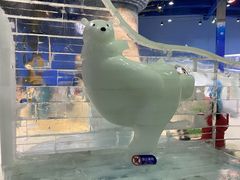 -广州热雪奇迹
