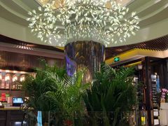-润园四季椰子鸡火锅(海上世界店)